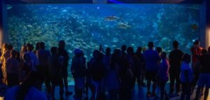 Record-en-Aquarium-4-1140x544