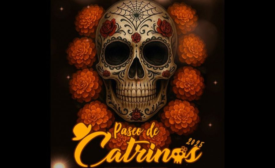actividades-culturales-3-900x550