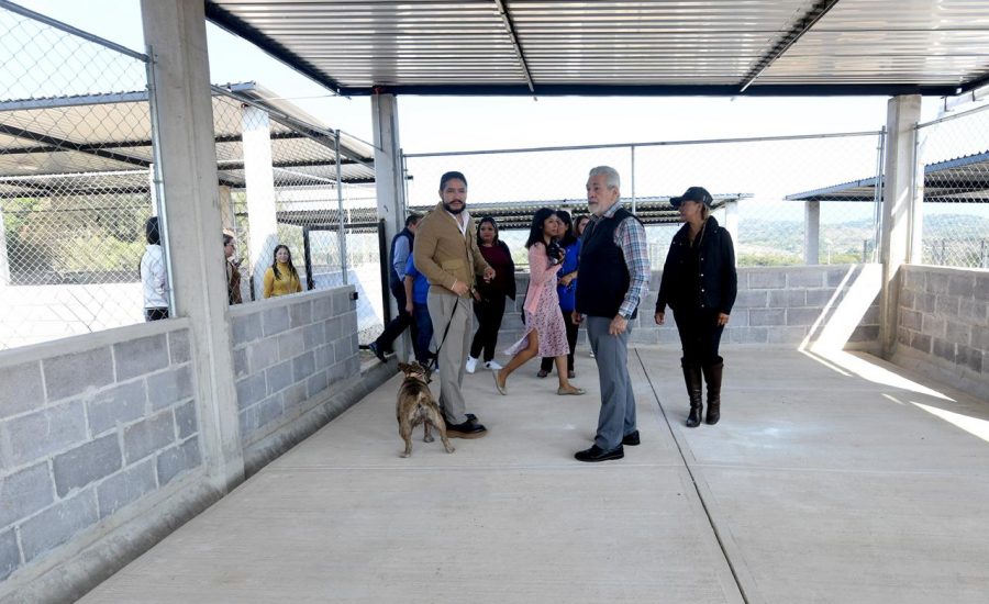 WhatsApp-Image-2025-12-19-at-1.55.44-PM-900x550