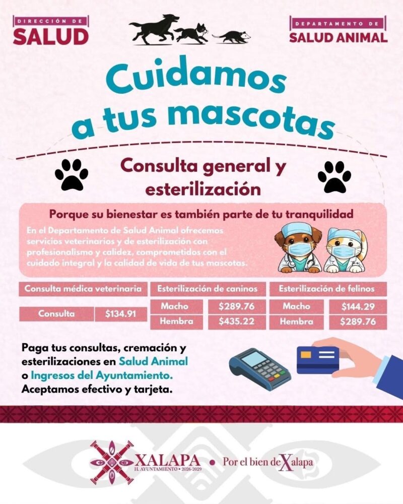 Ayuntamiento de Xalapa refuerza servicios de salud animal con atención accesible