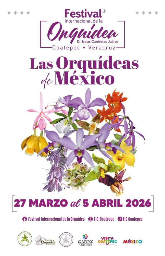 Coatepec celebra su riqueza natural con el XVII Festival Internacional de la Orquídea